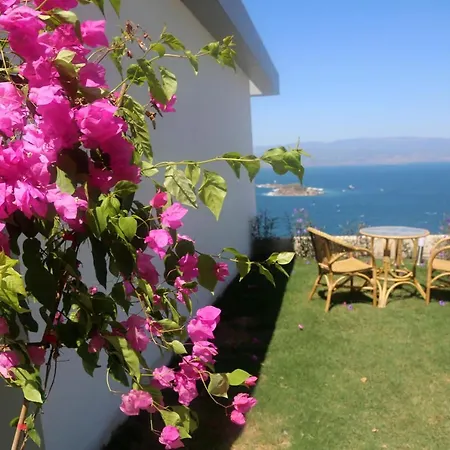 Bodrum Adabuku Luks 2+1 Ozel Plaj Ve Havuzlu Villa
